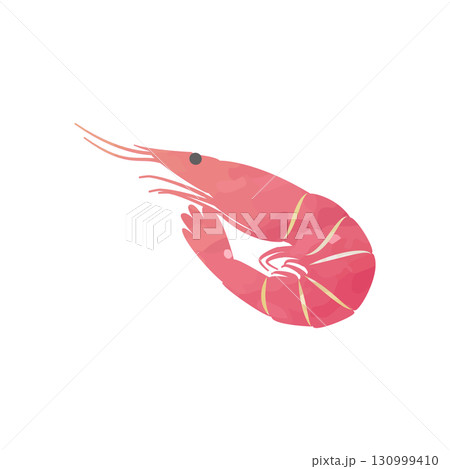 エビのベクターイラスト 水彩手描き風 エビのベクターイラスト 水彩手描き風 130999410