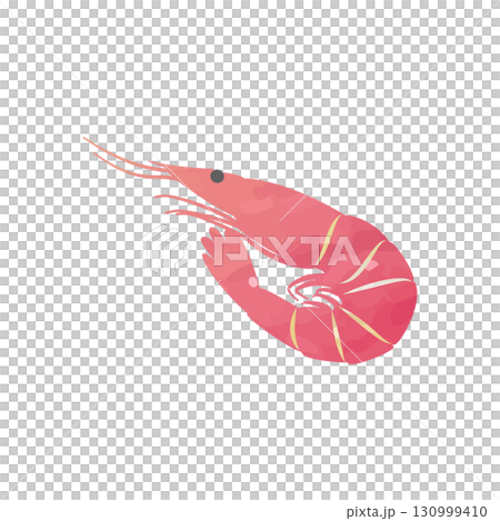 エビのベクターイラスト 水彩手描き風 エビのベクターイラスト 水彩手描き風 130999410