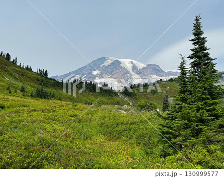レーニア山の山頂と緑の丘、マウンレーニア国立公園、8月下旬撮影 130999577