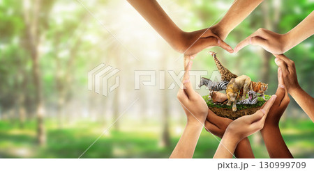 Wildlife Conservation Day. wildlife protection, multiracial human come to build hands in shape of heart to protect the environment. Wildlife Conservation Day. wildlife protection, multiracial human come to build hands in shape of heart to protect the environment. 130999709