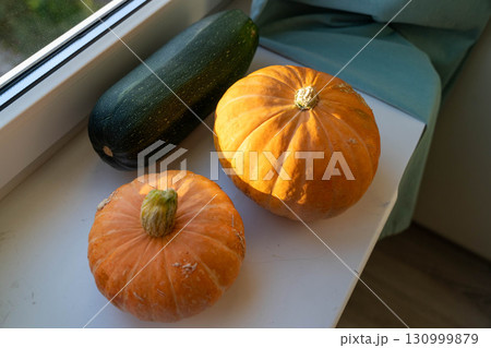 Harvest pumpkins and zucchini on windowsill in sunlight Harvest pumpkins and zucchini on windowsill in sunlight 130999879