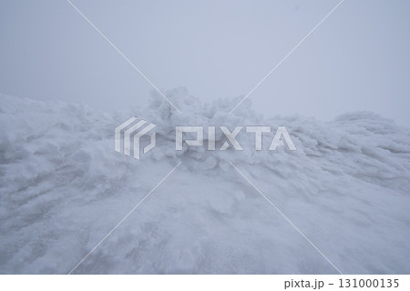 山形県　蔵王温泉スキー場　白銀世界の樹氷 131000135