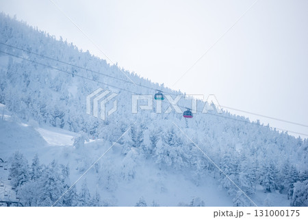 山形県　蔵王温泉スキー場　白銀世界の樹氷とゴンドラ 131000175