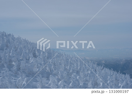 山形県　蔵王温泉スキー場　白銀世界の樹氷 131000197