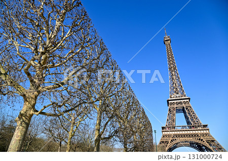 エッフェル塔のとても美しい風景 131000724