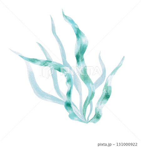 A bush of green, long seaweed leaves. Isolated watercolor painting of underwater plants for children's prints, clothing, and interior design for themed parties and children's rooms. 131000922