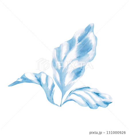 Blue seaweed leaves. Isolated watercolor painting of underwater plants for children's prints, clothing, and interior design for themed parties and children's rooms. Blue seaweed leaves. Isolated watercolor painting of underwater plants for children's prints, clothing, and interior design for themed parties and children's rooms. 131000926