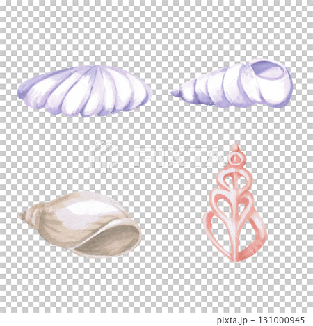 A set of four seashells. Isolated watercolor illustration for children's prints, clothing, and interior design for themed parties and children's rooms. 131000945