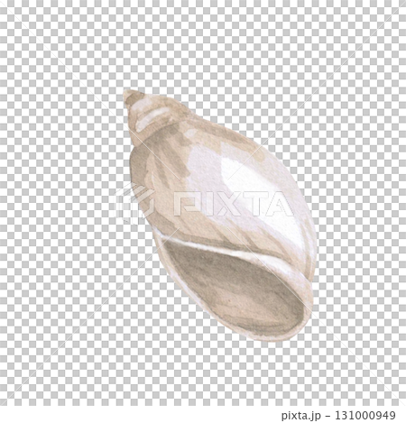 Beige shell. Isolated watercolor illustration of underwater creatures for children's prints, clothing, and interior design for themed parties and children's rooms. Beige shell. Isolated watercolor illustration of underwater creatures for children's prints, clothing, and interior design for themed parties and children's rooms. 131000949