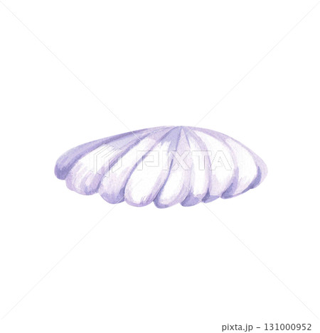 A fabulous purple shell. Isolated watercolor illustration of underwater creatures for children's prints, clothing, and interior design for themed parties and children's rooms. A fabulous purple shell. Isolated watercolor illustration of underwater creatures for children's prints, clothing, and interior design for themed parties and children's rooms. 131000952