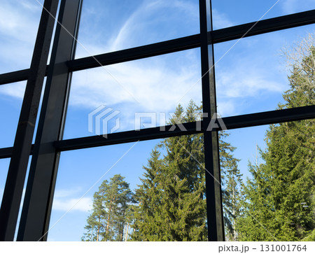 Looking through window, forests in sunrise view. Forest view from the window Looking through window, forests in sunrise view. Forest view from the window 131001764