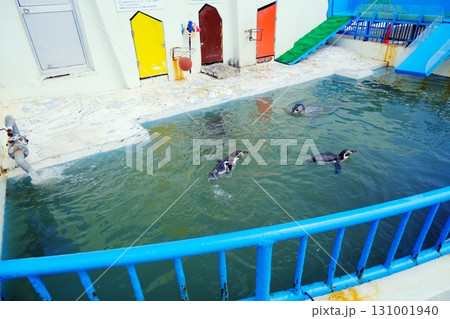 稚内市ノシャップ寒流水族館 131001940