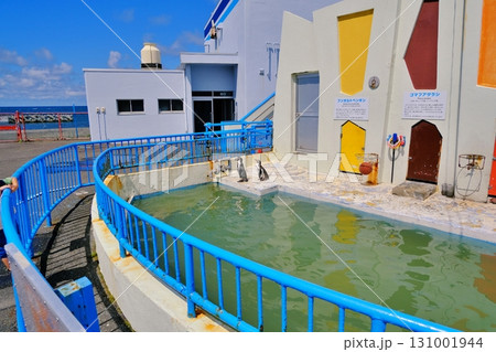 稚内市ノシャップ寒流水族館 131001944