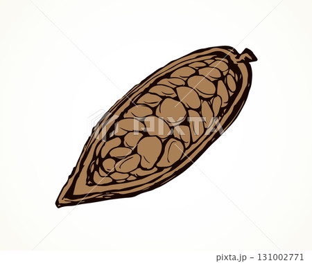 Cocoa Fruits. Vector drawing icon 131002771