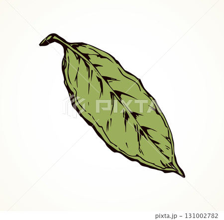 Tree leaf. Vector drawing icon 131002782