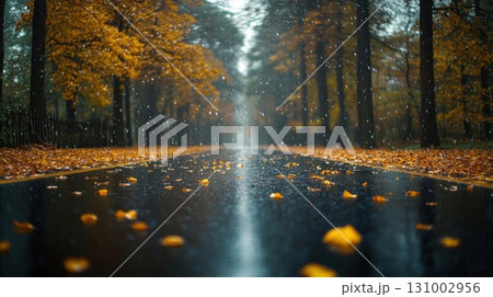 Rain in autumn forest. Fallen leaves on a wet asphalt road in the rain. 131002956