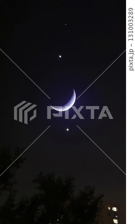 Night view of the crescent moon in the starry sky. Vertical night wallpaper for smartphone. 131003289