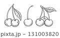 Cherry berries on a white background in engraving style 131003820