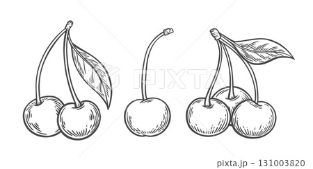 Cherry berries on a white background in engraving style 131003820