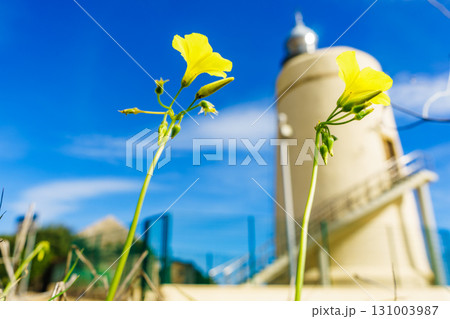 Carbonera lighthouse, Punta Mala, La Alcaidesa, Spain. Carbonera lighthouse, Punta Mala, La Alcaidesa, Spain. 131003987
