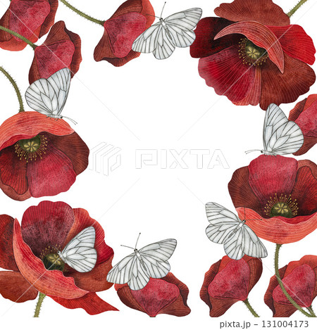 Watercolor red poppy butterfly wreath. Round frame of poppy flowers white butterflies on white background. Watercolor red poppy butterfly wreath. Round frame of poppy flowers white butterflies on white background. 131004173