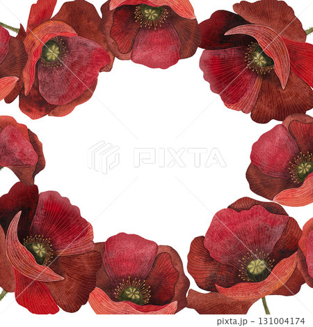 Watercolor red poppy wreath. Round frame of poppy flowers on white background. 131004174