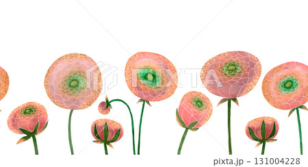 Watercolor pink ranunculus border. Ranunculus flowers green stems on white background. Watercolor pink ranunculus border. Ranunculus flowers green stems on white background. 131004228