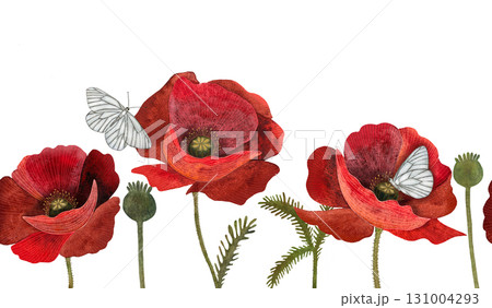 Watercolor red poppy butterfly border. Poppies and white butterflies on white. 131004293
