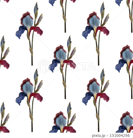 Watercolor burgundy and blue iris seamless pattern. Stylized iris flowers on white background. 131004298