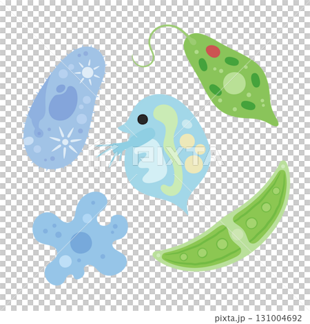 Cute microorganism illustration material 131004692