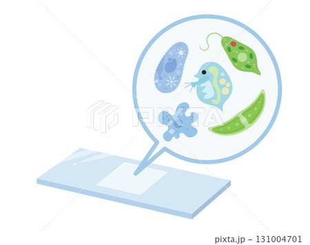 プレパラートに微生物がいるイラスト 131004701