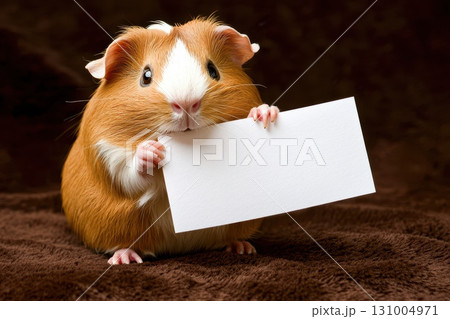 Tiny Golden Guinea Pig Holding a Blank Sign on a Soft Brown Surface Tiny Golden Guinea Pig Holding a Blank Sign on a Soft Brown Surface 131004971