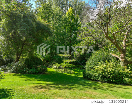 Enlgish green garden with multpiple type of trees and plants Enlgish green garden with multpiple type of trees and plants 131005214