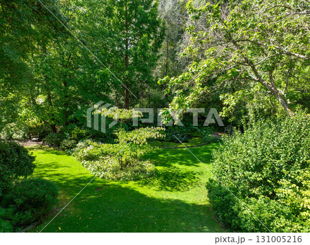 Enlgish green garden with multpiple type of trees and plants 131005216