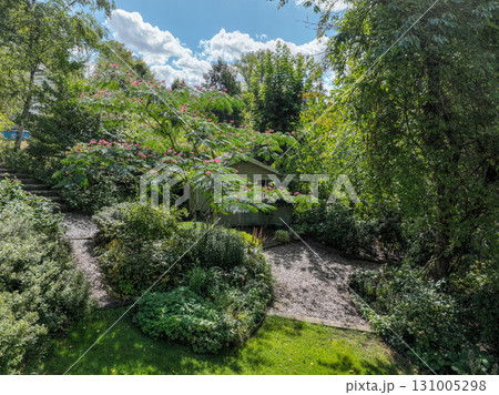 Enlgish green garden with multpiple type of trees and plants Enlgish green garden with multpiple type of trees and plants 131005298