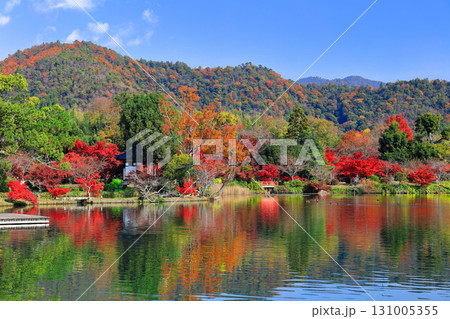 【京都府】シンメトリーな紅葉の大覚寺（大沢池） 131005355