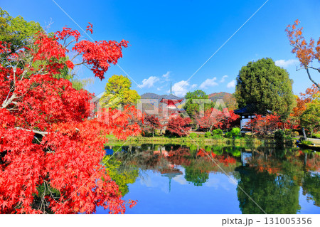 【京都府】シンメトリーな紅葉の大覚寺 心経宝塔(放生池) 【京都府】シンメトリーな紅葉の大覚寺 心経宝塔(放生池) 131005356