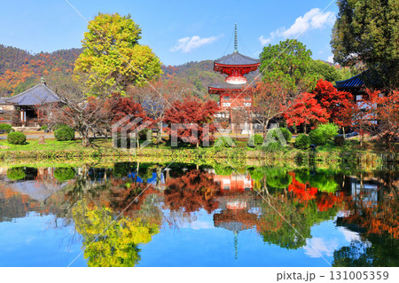 【京都府】シンメトリーな紅葉の大覚寺 心経宝塔(放生池) 【京都府】シンメトリーな紅葉の大覚寺 心経宝塔(放生池) 131005359