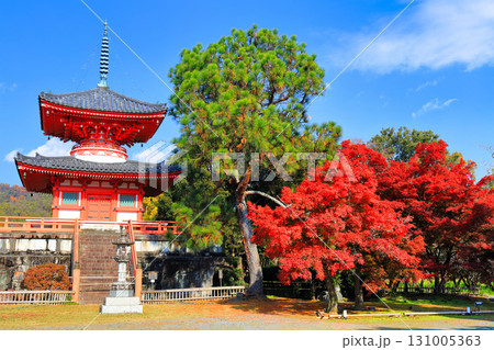 【京都府】快晴の大覚寺 心経宝塔と紅葉 131005363