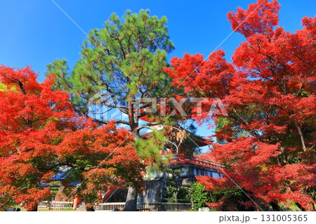 【京都府】快晴の大覚寺 心経宝塔と紅葉 【京都府】快晴の大覚寺 心経宝塔と紅葉 131005365