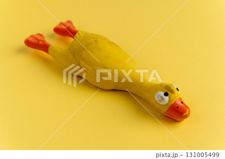 Yellow rubber chicken toy lying on yellow background Yellow rubber chicken toy lying on yellow background 131005499