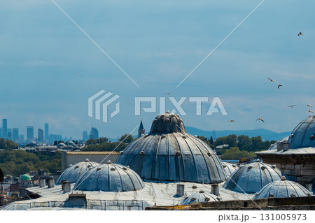 Istanbul, Turkey. Scenic view of the Bosphorus Strait with city view in the background. Urban skyline and city life. Istanbul, Turkey. Scenic view of the Bosphorus Strait with city view in the background. Urban skyline and city life. 131005973