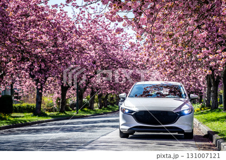 春の桜並木とマツダ車 春の桜並木とマツダ車 131007121