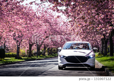 春の桜並木とマツダ車 131007122