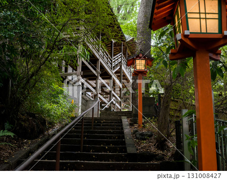 【等々力渓谷】渓谷にある参道の階段 131008427