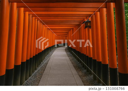 千本鳥居　伏見稲荷イメージ　フォトリアル 131008766