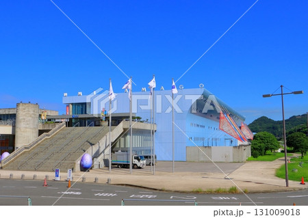 うみたまご（大分マリーンパレス水族館・大分市） 131009018