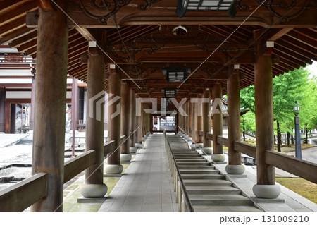 福井 寺 大師山清大寺 越前大仏 福井 寺 大師山清大寺 越前大仏 131009210