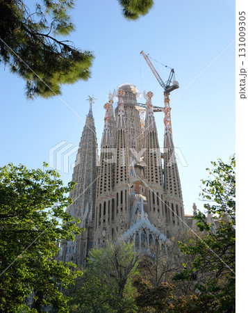 スペイン　バルセロナ　サグラダ・ファミリア　5月の早朝 131009305