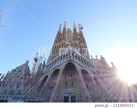 スペイン　バルセロナ　サグラダ・ファミリア　受難のファサード　5月の早朝 131009313